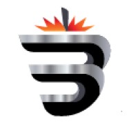 Berry Metal Company logo - Similar company to Inteco Process Technology International Llc