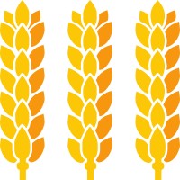 Saalemühle Alsleben GmbH logo - Similar company to Plange Gmbh