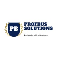 Prof-Bus Solutions logo - Similar company to Indiary