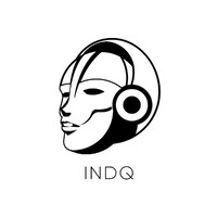 INDQ SA DE CV logo - Similar company to Cdsoft