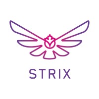 Strix (INSAT/INTAD) logo - Similar company to Noor Nibras Software House (N2Sh)