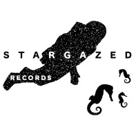 Stargazed logo - Similar company to 11Sixes