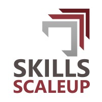 SkillsScaleup logo - Similar company to Demystific