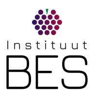 Instituut BES logo - Similar company to Bes Examenhulp