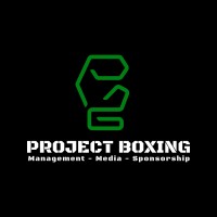 Project Boxing logo - Similar company to Boxing Guru