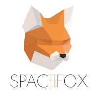 Space Fox logo - Similar company to Clinicsoul