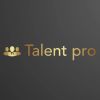 TALENTS PRO logo - Similar company to Companext
