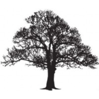 Blackwood Pacific logo - Similar company to Municipal Information Systems Association British Columbia (Misa Bc)