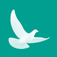 Turtledove Preschool Whitefield logo - Similar company to Cast Gateway