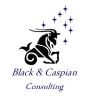 BLACK & CASPIAN logo - Similar company to Cifal International Services