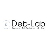 Deb - Lab - Dynamic Tel-Evolution of Body logo - Similar company to Baumber Hair Concept