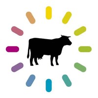 La Vache Noire Sud logo - Similar company to Flow Communication