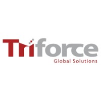 Triforce Global Solutions logo - Similar company to Lake