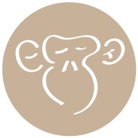 Monkey Melon Designs logo - Similar company to Coast Monkey Media