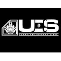 Leo Club of Unawatuna Diamond Stars logo - Similar company to Rathumakara Fm