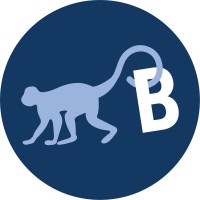 Blue Monkey Media logo - Similar company to Redmatters