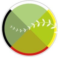 First Nations Health Managers Association logo - Similar company to Alberta First Nations Information Governance Centre