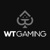 WT Gaming logo - Similar company to 1300 Intech - It Support Services Melbourne