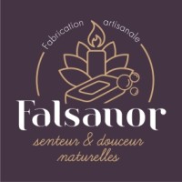 Falsanor logo - Similar company to Abeil Expertise