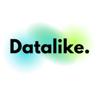 DATALIKE logo - Similar company to Datalike