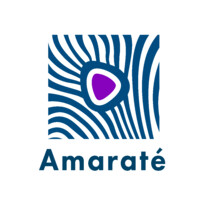 Amaraté Digital logo - Similar company to Instituto Bert