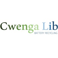 Cwenga Lib logo - Similar company to Cwenga Technologies