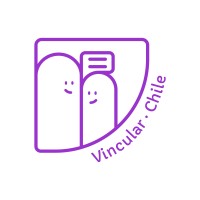Vincular Chile logo - Similar company to Redgesam