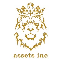 ASSETS INC - CONSULTING logo - Similar company to Hv Anacon- Analytics And Consulting