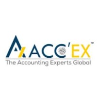 Accex - The Accounting Experts Global logo - Similar company to Accounting Solution India