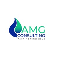 AMG Consulting logo - Similar company to Amg Conseil