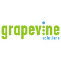 Grapevine Solutions logo - Similar company to Datainfo
