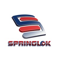 Springlok Holdings (Pty) Ltd logo - Similar company to 4Logix