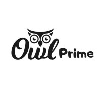 Owl Prime - Digital Marketing Agency logo - Similar company to Digilligent®