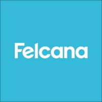 Felcana logo - Similar company to Pettech Solutions