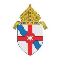 Diocese of Fall River logo - Similar company to Diocese Of Providence