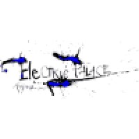 The Electric Palace