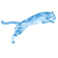 Blue Tiger Recovery, Inc