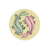 Colors Studio logo - Similar company to Up Studio
