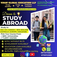 Vinay Global Education LLP logo - Similar company to Vinay Global