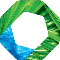 BMS Consulting logo - Similar company to Si Bis
