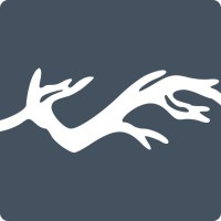 Driftwood Climate logo - Similar company to Integrum Esg