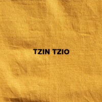 TZIN TZIO logo - Similar company to Oxhead Alpha, Llc