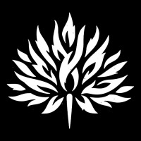 Fósforo Mezcal logo - Similar company to Csdocs Region Sur