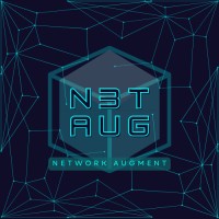 NetAug logo - Similar company to Codex Network