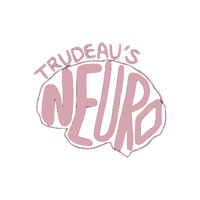 Neuro Trudeau logo - Similar company to Markham Model United Nations (Markmun)