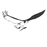 Hunter & Hunter LLC logo - Similar company to Hunter Llc