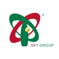 GFT Group Ltd logo - Similar company to Dream International Limited