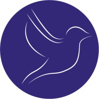 Flying Bird Media logo - Similar company to Adba Labs