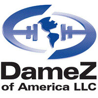 DAMEZ OF AMERICA LLC logo - Similar company to Meacom Data