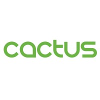 Cactus Consulting Ltd (UK) logo - Similar company to Bones Interactive